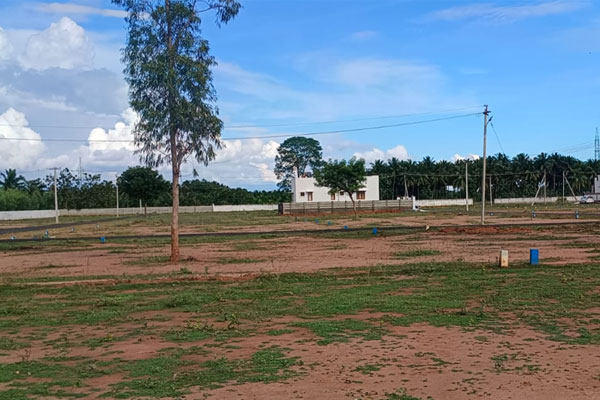 Land for sale - located in Kumara Jyoti Nagar near Nanjikottai