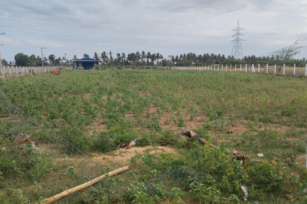 Plot for Sale @ Near Alupatti village 