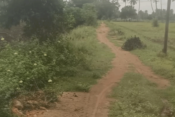 Land for Sale @ Layout Purpose - Near Thanjavur Airport